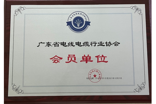 Member of Guangdong wire & cable association